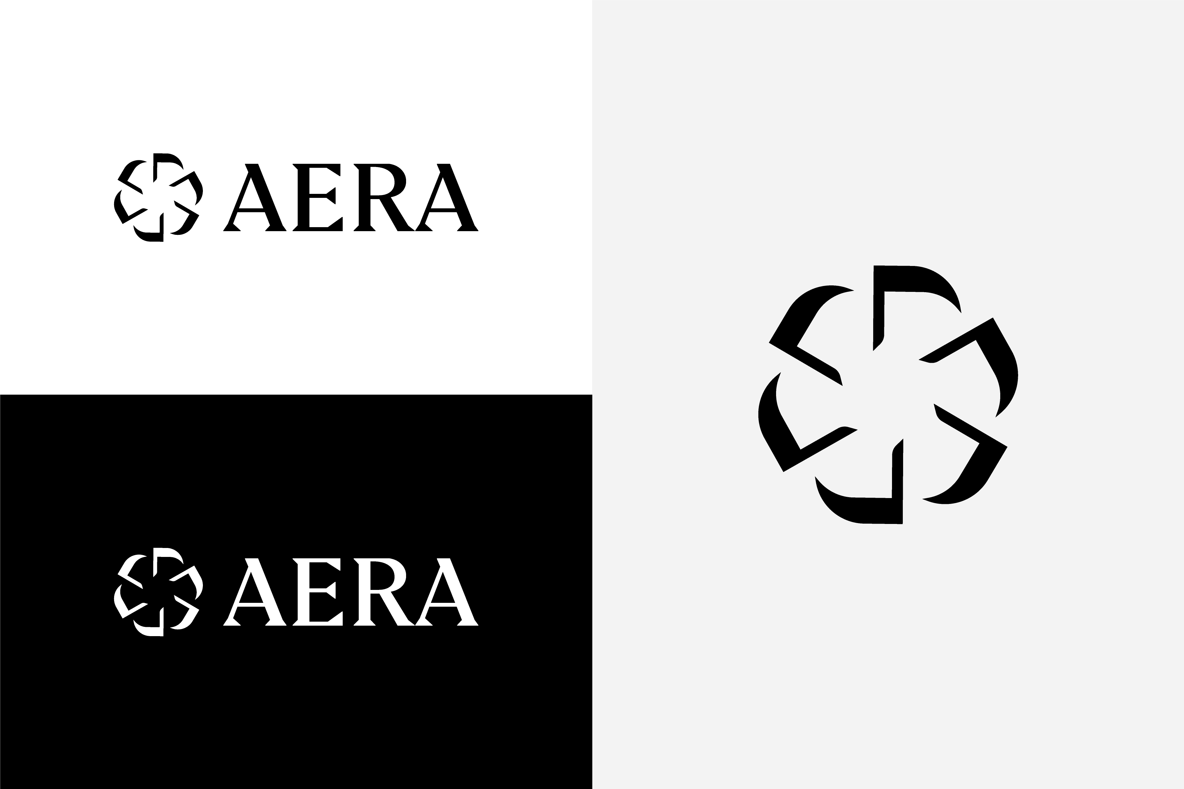 Aera_Case_Concepts_E