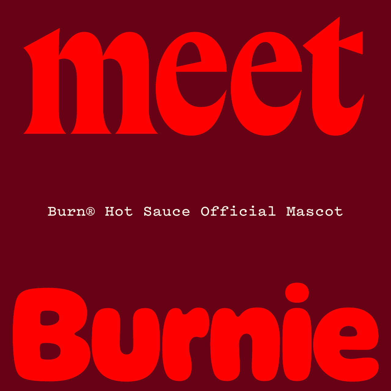 Burn_BurnieName2